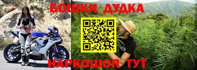 ПСИЛОЦИБИНОВЫЕ ГРИБЫ Аргун
